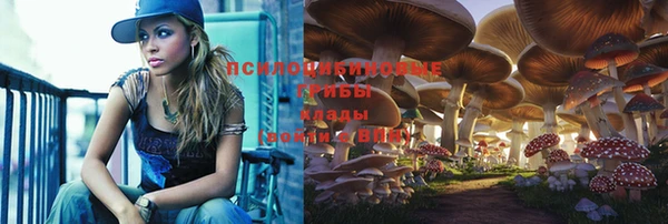 МДМА Абаза