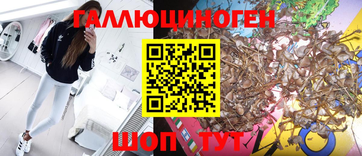 ГАШИШ  Кокаин  Как найти наркотики?  Киров  Мефедрон кристаллы  LSD-25  Вход с VPN  Марихуана 