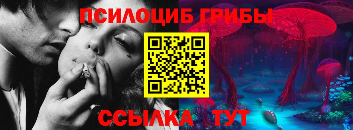 Галлюциногенные грибы GOLDEN TEACHER  Вход с VPN  Псилоцибиновые грибы Magic Shrooms  Киров 