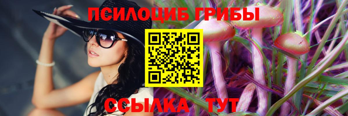 Галлюциногенные грибы Psilocybine cubensis Киров